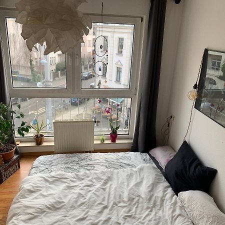 Am Clara-Zetkin-Park, Netflix, Lichtdurchflutet Apartment Leipzig Bagian luar foto