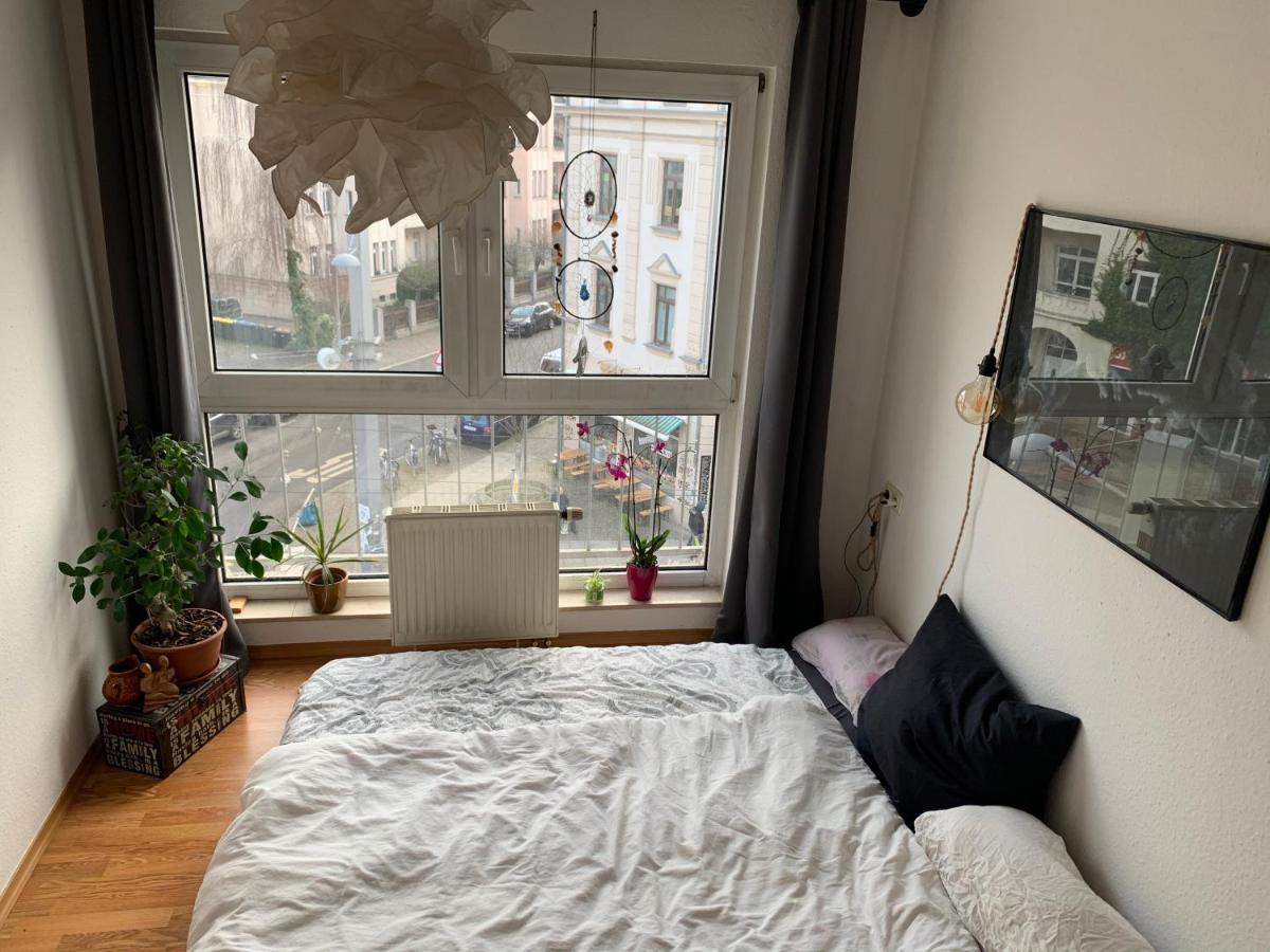 Am Clara-Zetkin-Park, Netflix, Lichtdurchflutet Apartment Leipzig Bagian luar foto